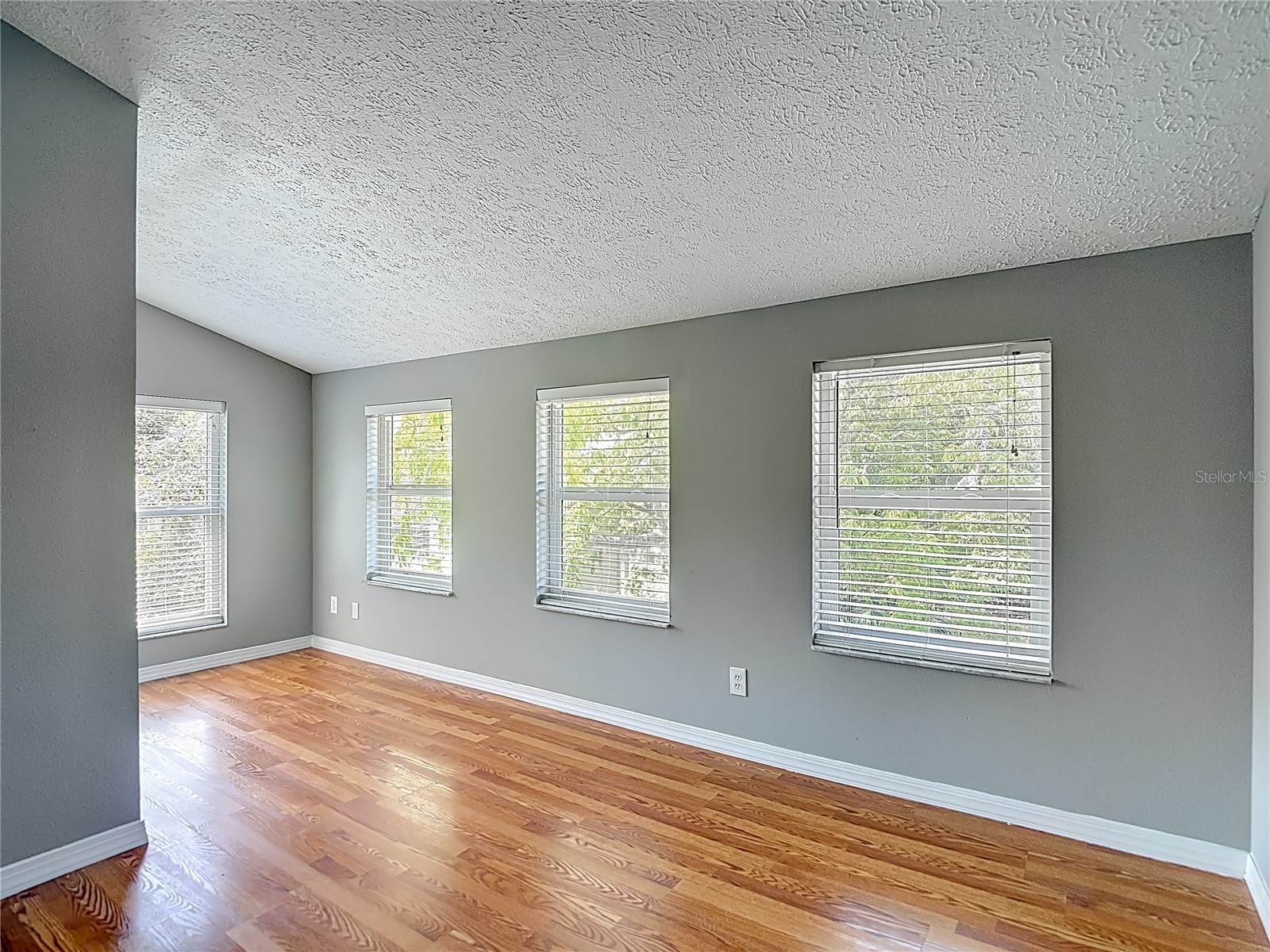 2445 Glenview Drive Land O Lakes FL 34639 TB8492684 image28