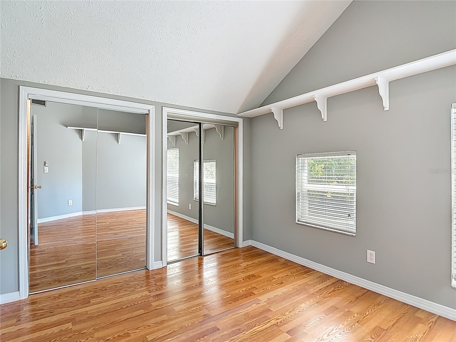 2445 Glenview Drive Land O Lakes FL 34639 TB8492684 image32