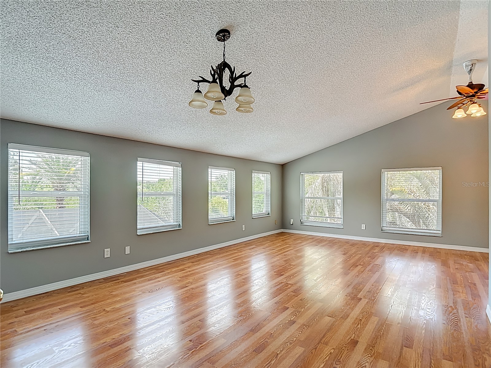 2445 Glenview Drive Land O Lakes FL 34639 TB8492684 image37