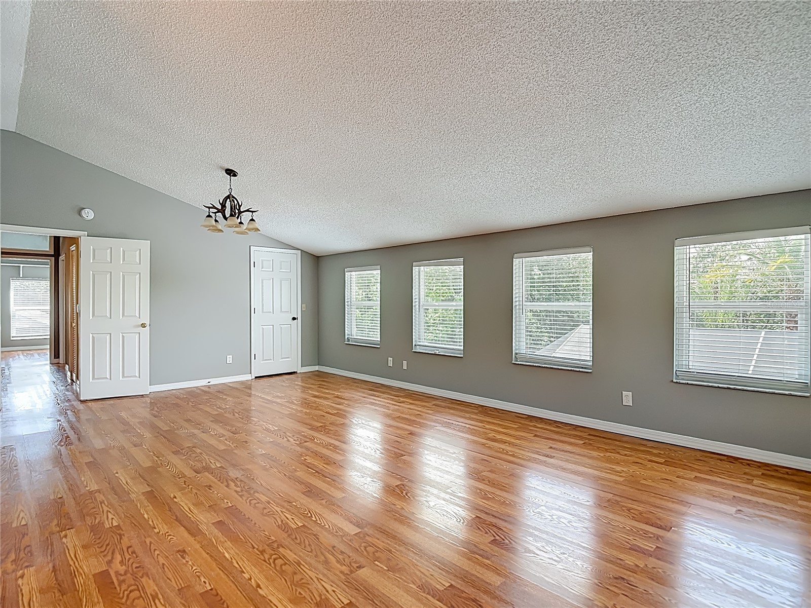 2445 Glenview Drive Land O Lakes FL 34639 TB8492684 image40