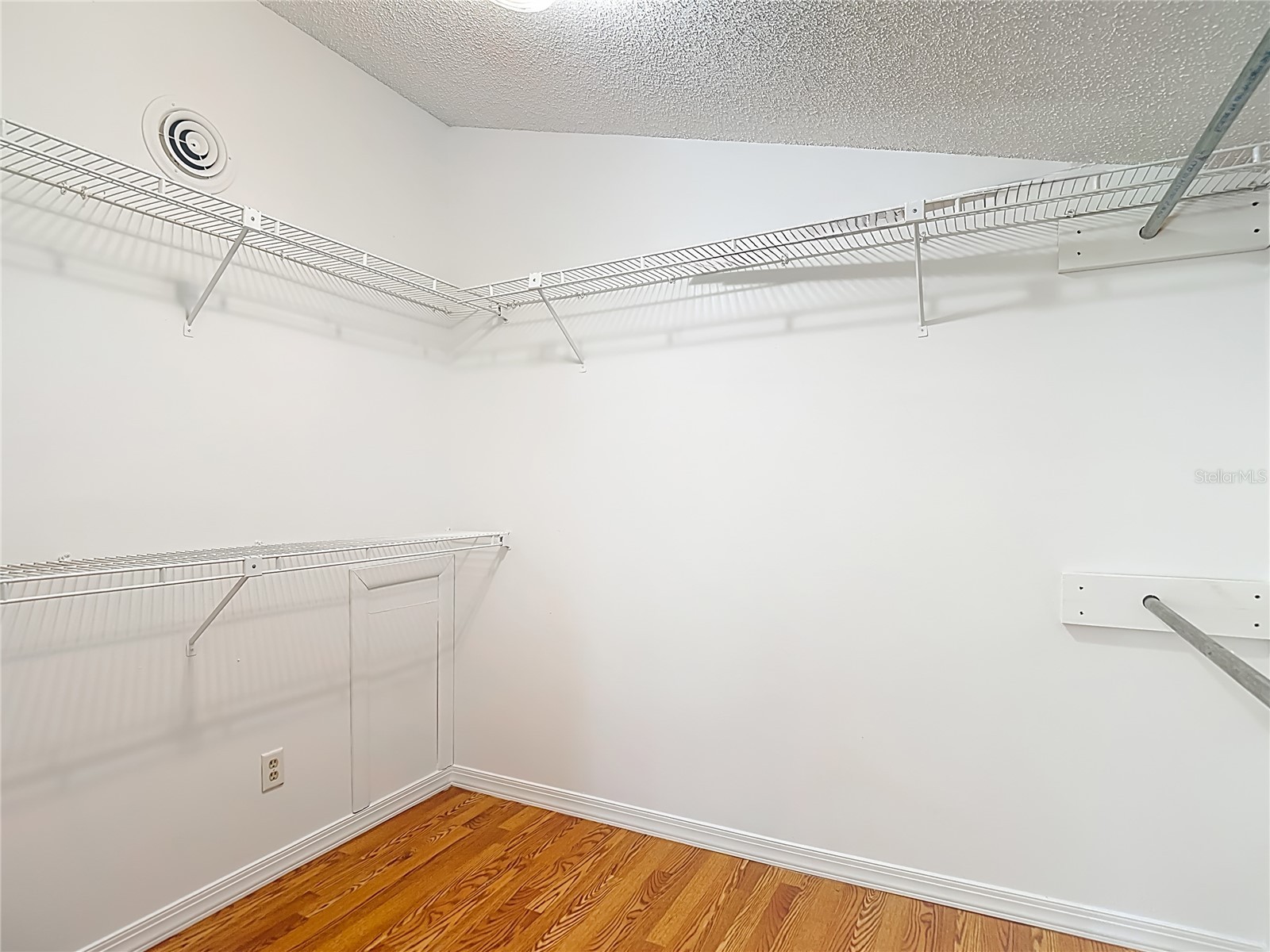 2445 Glenview Drive Land O Lakes FL 34639 TB8492684 image46