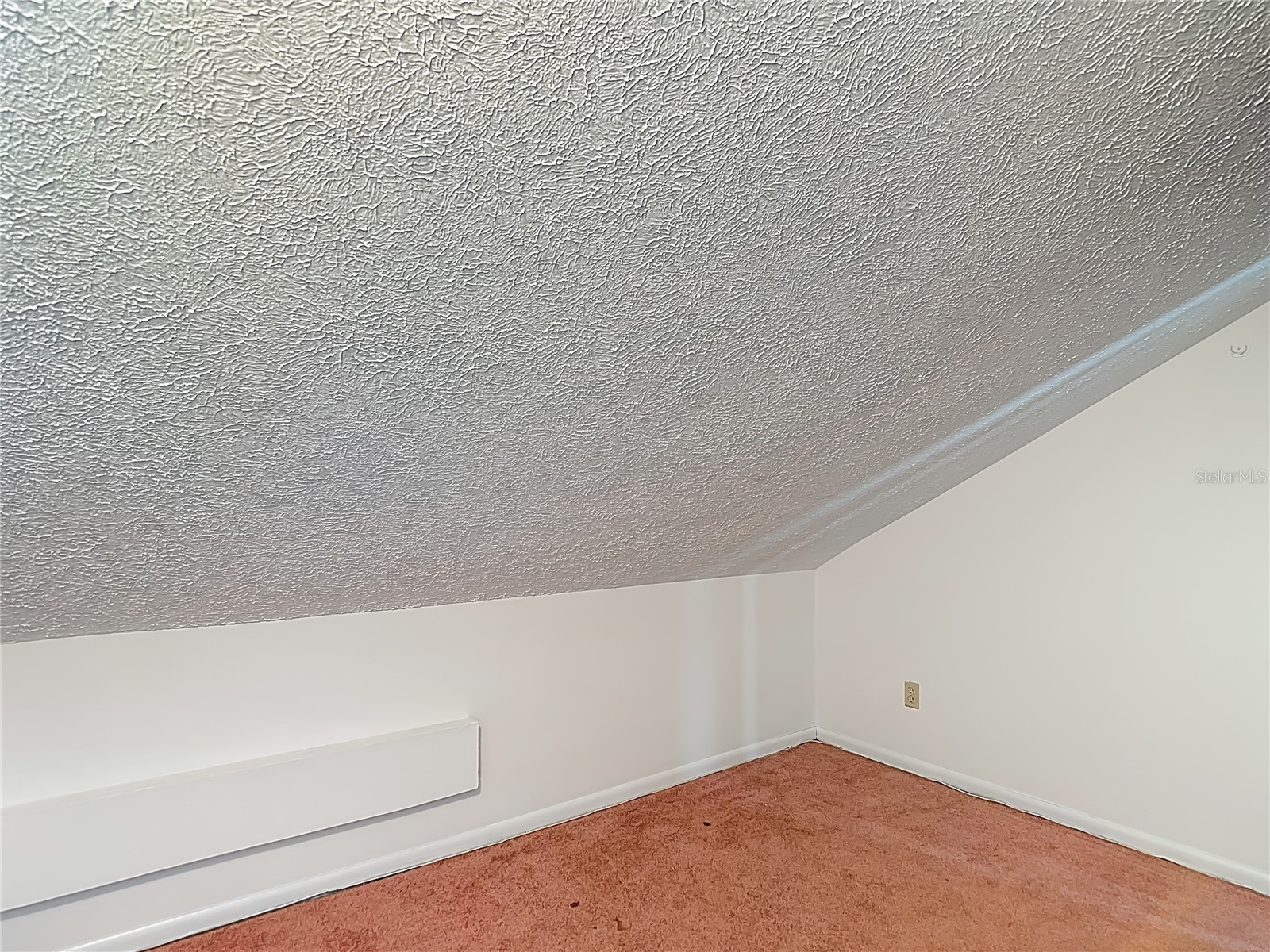 2445 Glenview Drive Land O Lakes FL 34639 TB8492684 image47