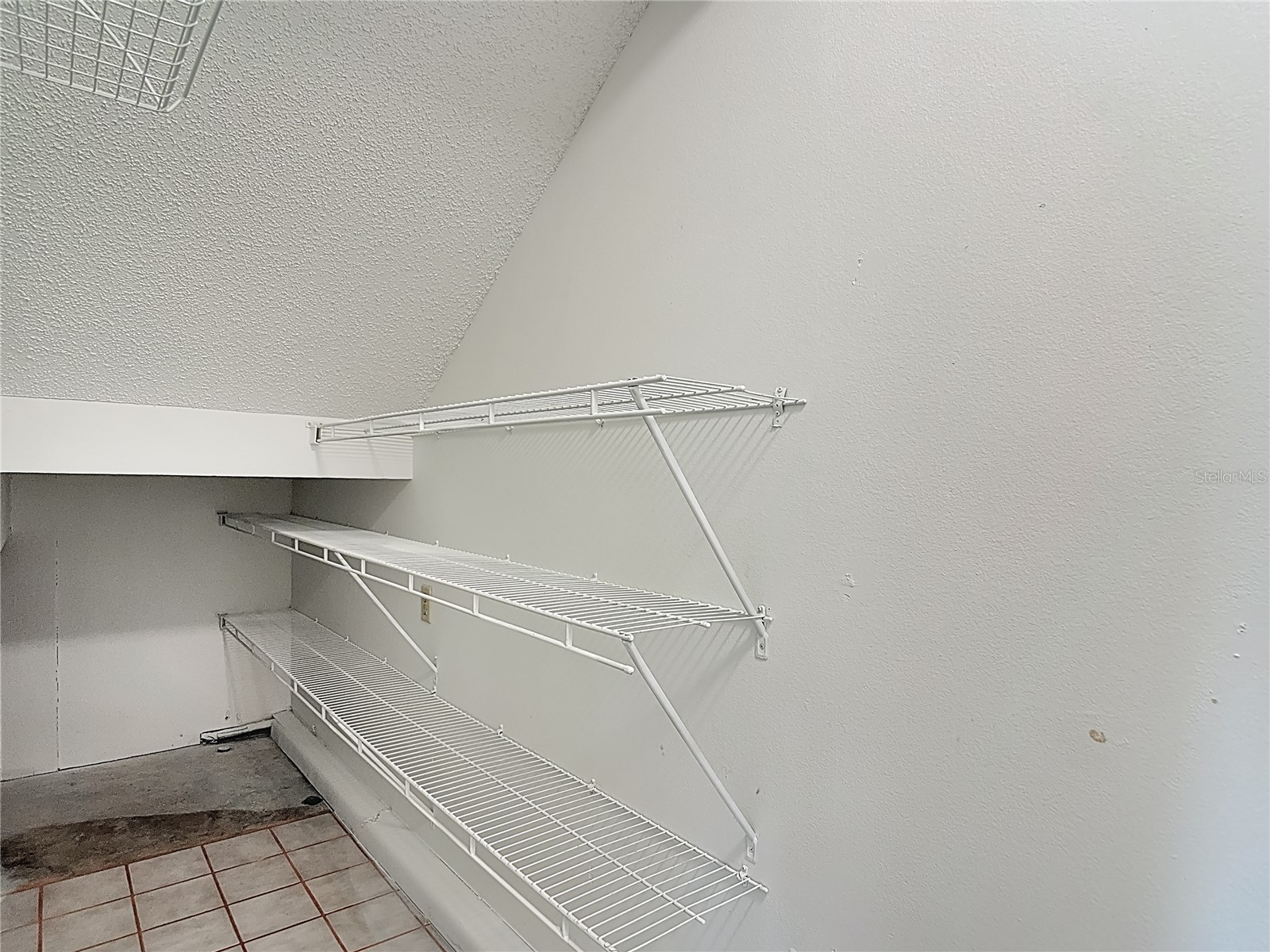 2445 Glenview Drive Land O Lakes FL 34639 TB8492684 image48