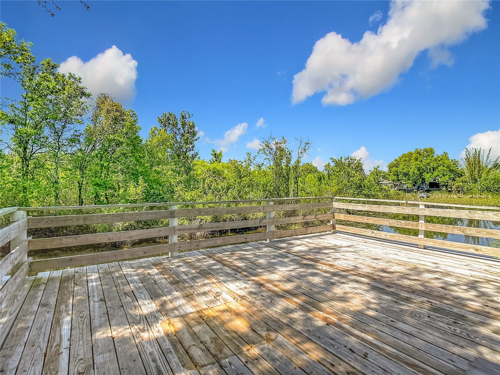 2445 Glenview Drive Land O Lakes FL 34639 TB8492684 image63