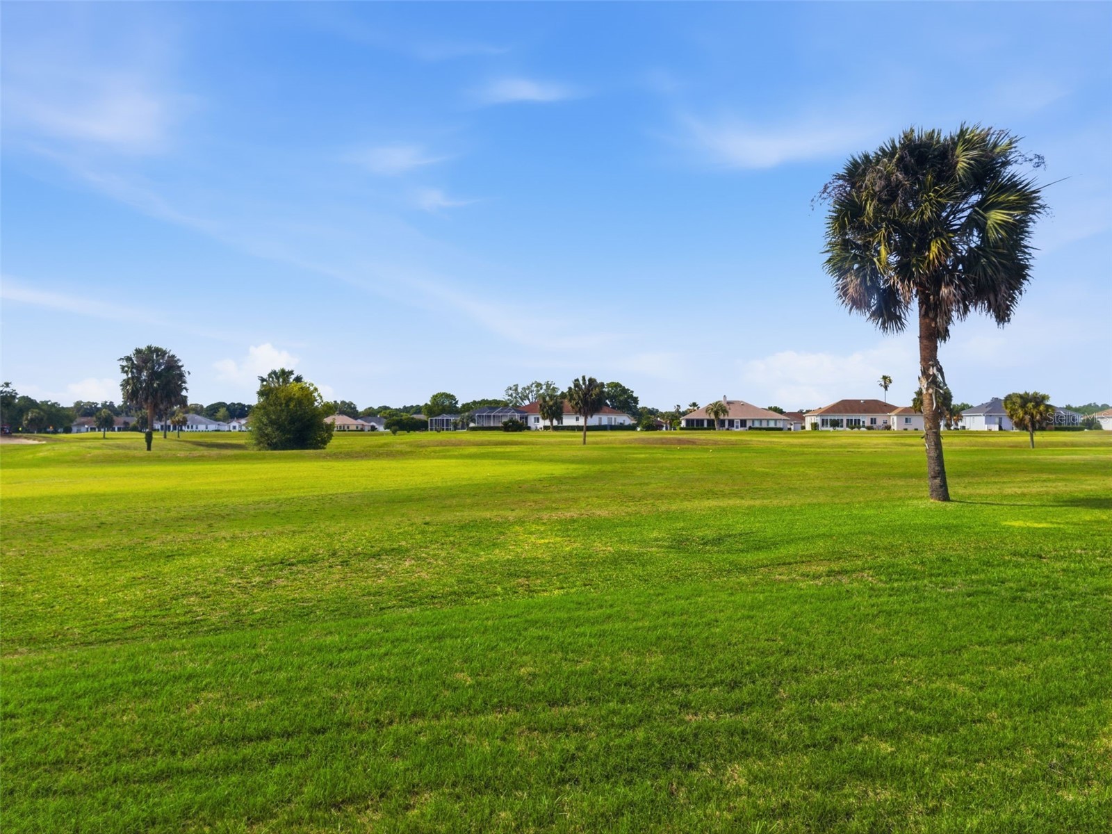 2445 NW 53rd Avenue Road Ocala FL 34482 TB8497609 image47