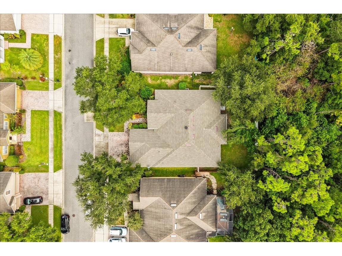 2445 Pickford Circle Apopka FL 32703 O6345236 image39