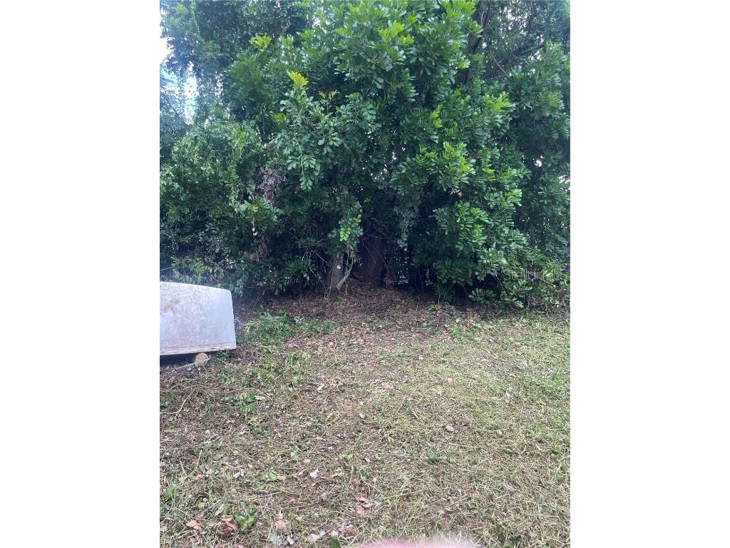 2445 Webber Street Sarasota FL 34239 A4664030 image5