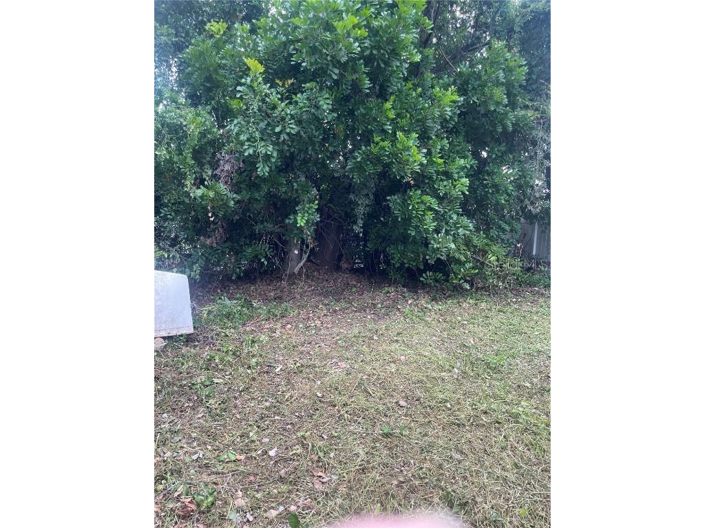 2445 Webber Street Sarasota FL 34239 A4664030 image6