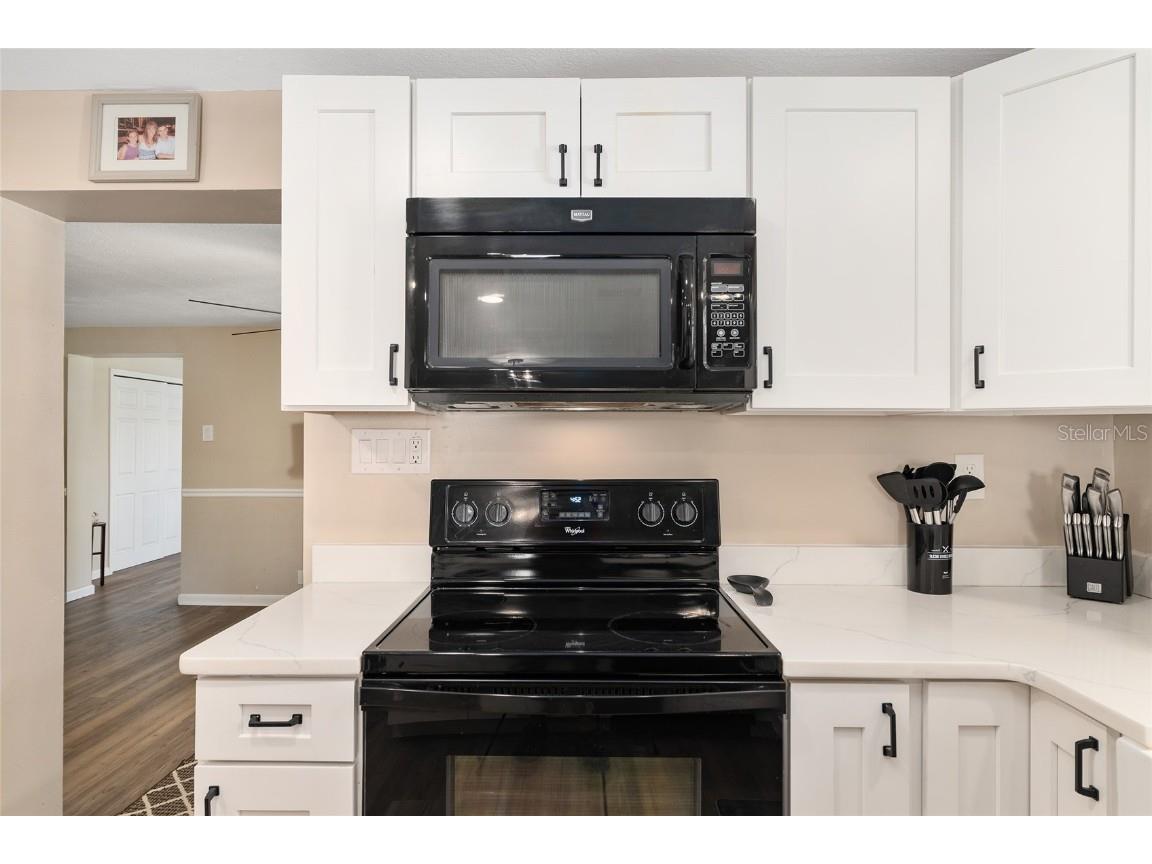 24450 NE 127th Street Fort Mc Coy FL 32134 - LAKE KERR OM712165 image16