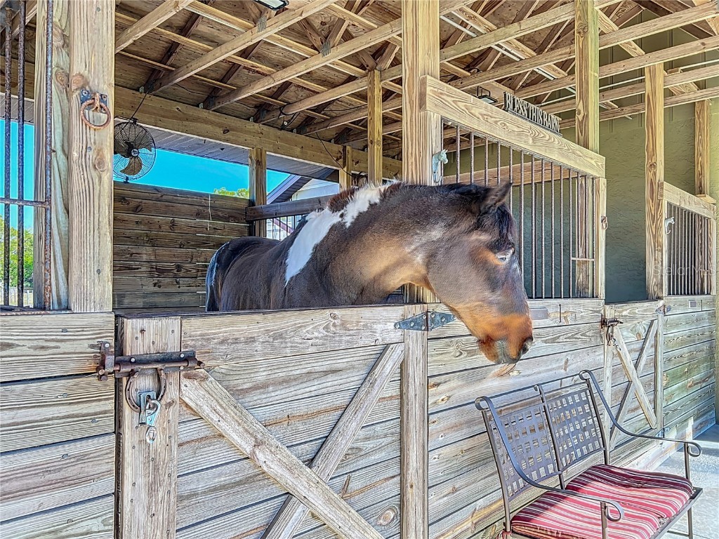 24454 Nova Lane Punta Gorda FL 33980 OM692801 image20