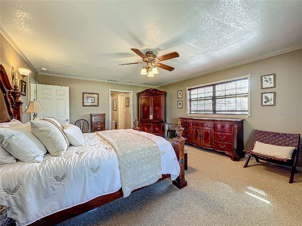 24454 Nova Lane Punta Gorda FL 33980 OM692801 image75