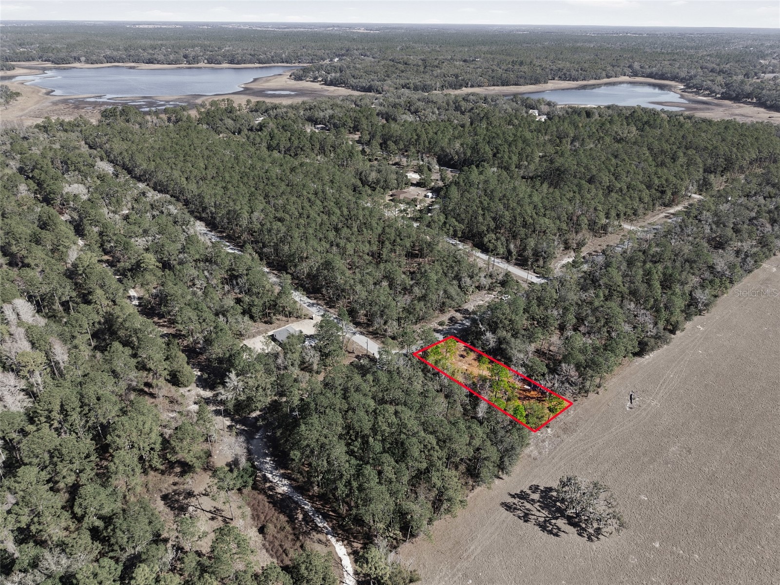 24456 SW Tiger Lake Boulevard W Dunnellon FL 34431 OM718516 image10