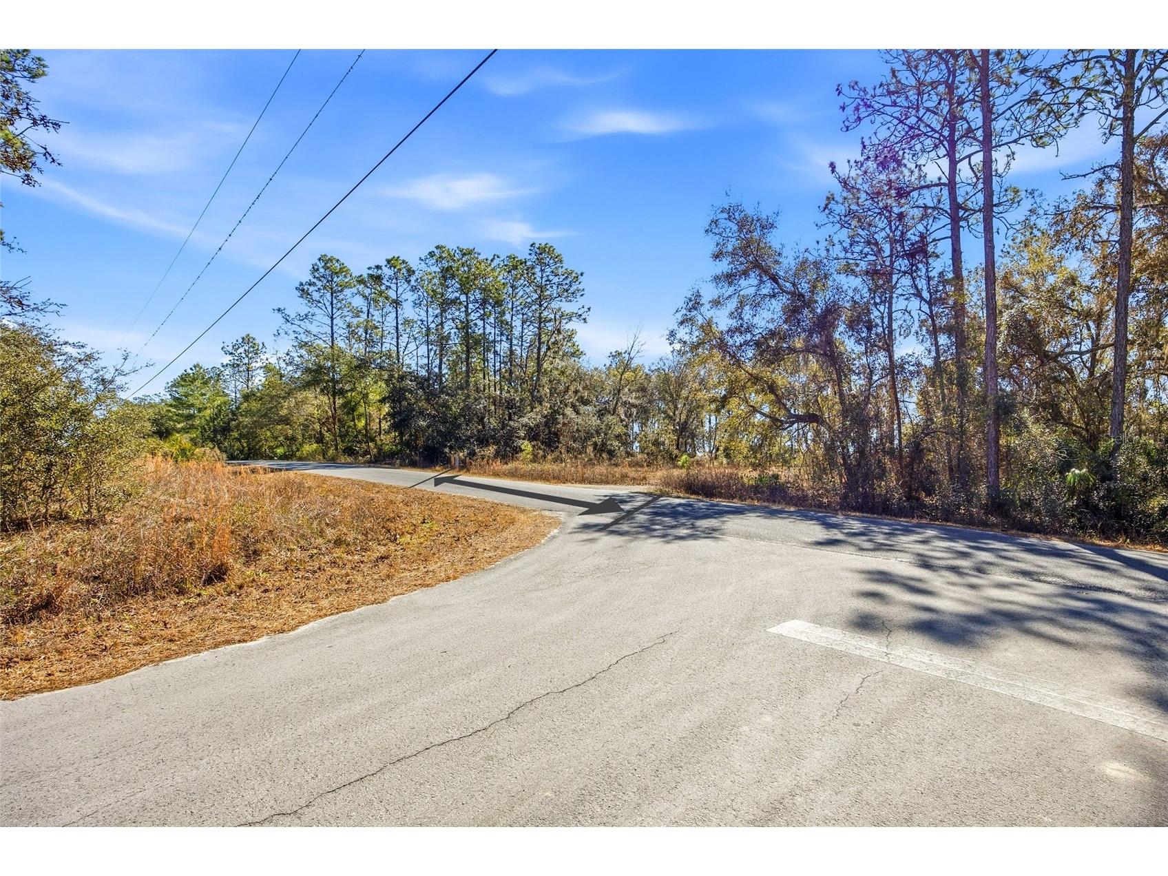 24456 SW Tiger Lake Boulevard W Dunnellon FL 34431 OM718516 image11