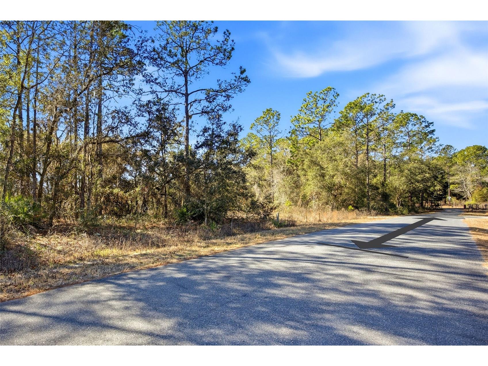 24456 SW Tiger Lake Boulevard W Dunnellon FL 34431 OM718516 image12