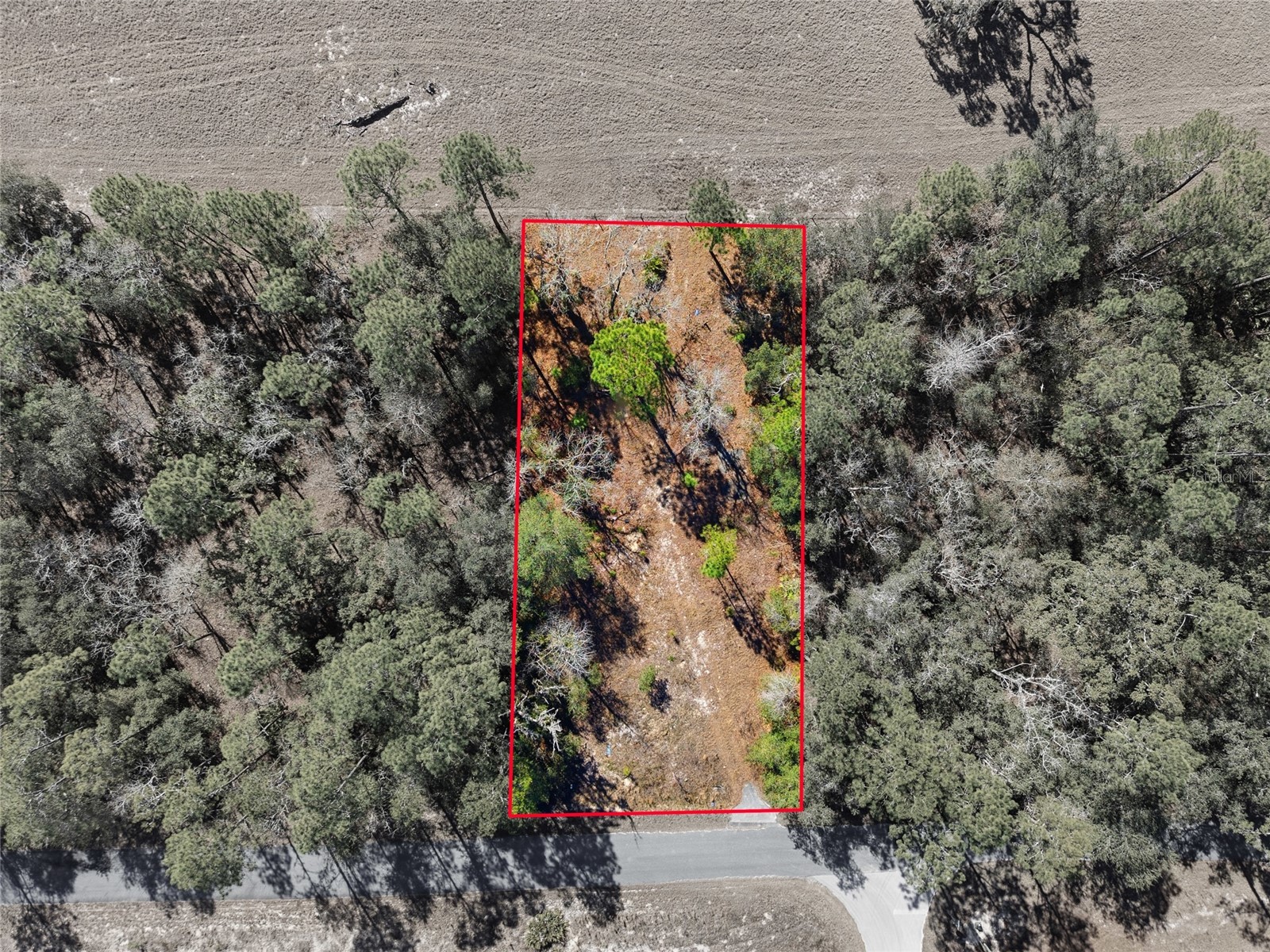 24456 SW Tiger Lake Boulevard W Dunnellon FL 34431 OM718516 image2