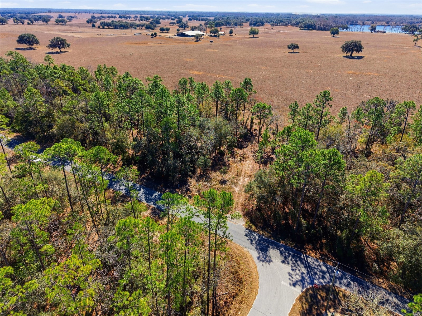 24456 SW Tiger Lake Boulevard W Dunnellon FL 34431 OM718516 image3