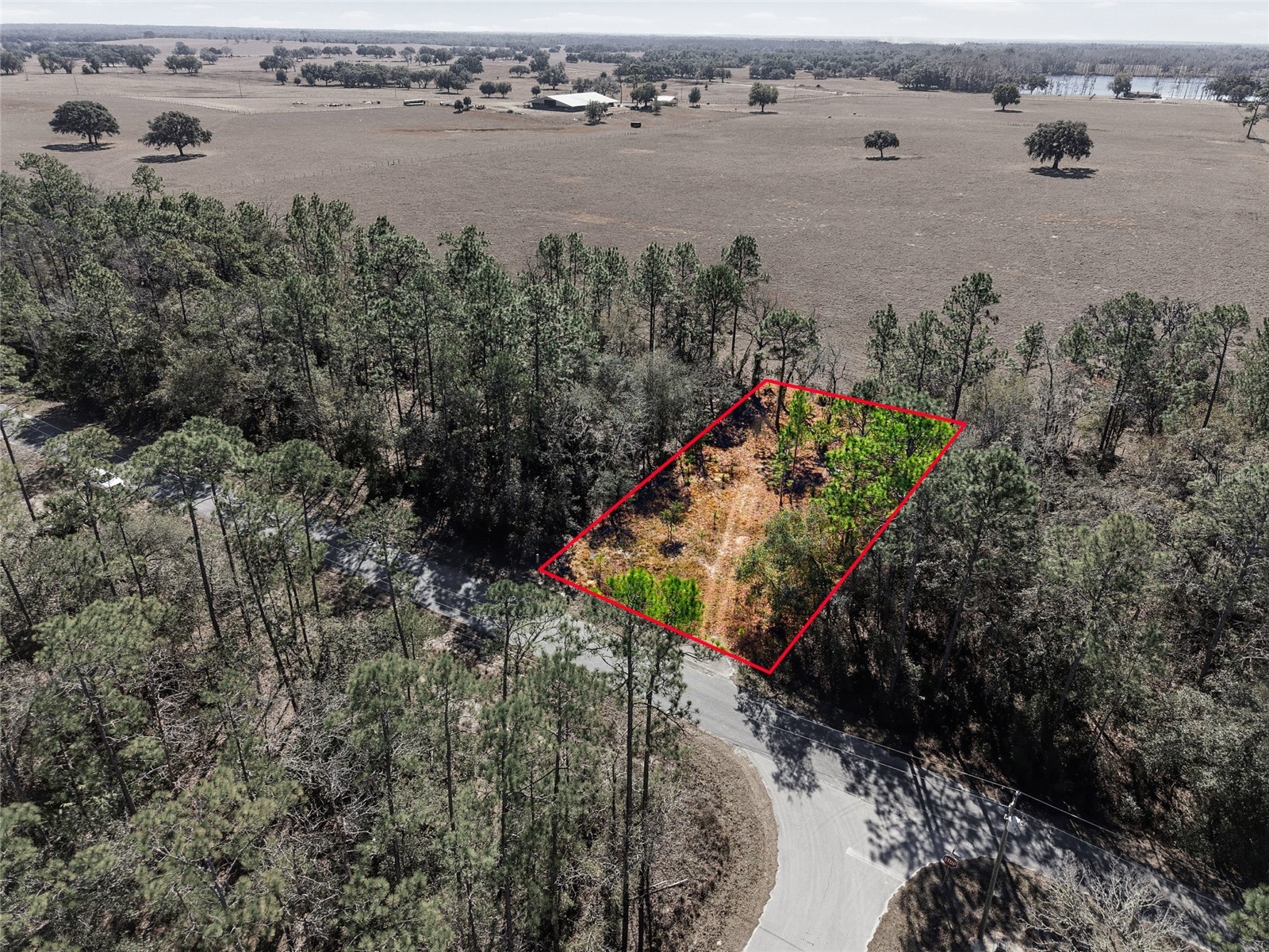 24456 SW Tiger Lake Boulevard W Dunnellon FL 34431 OM718516 image4