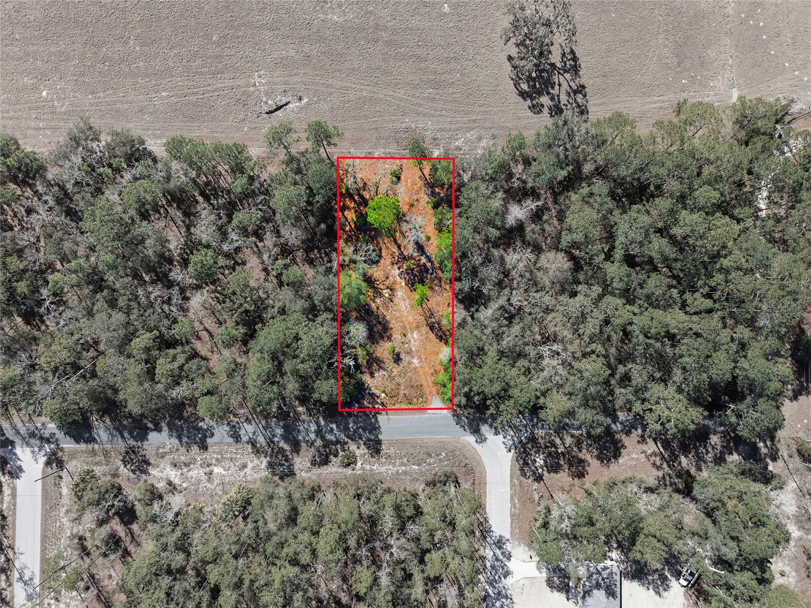 24456 SW Tiger Lake Boulevard W Dunnellon FL 34431 OM718516 image5