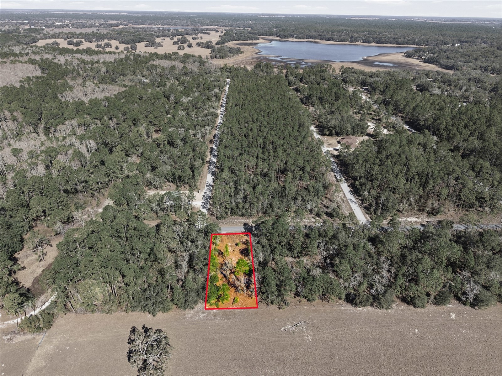 24456 SW Tiger Lake Boulevard W Dunnellon FL 34431 OM718516 image8