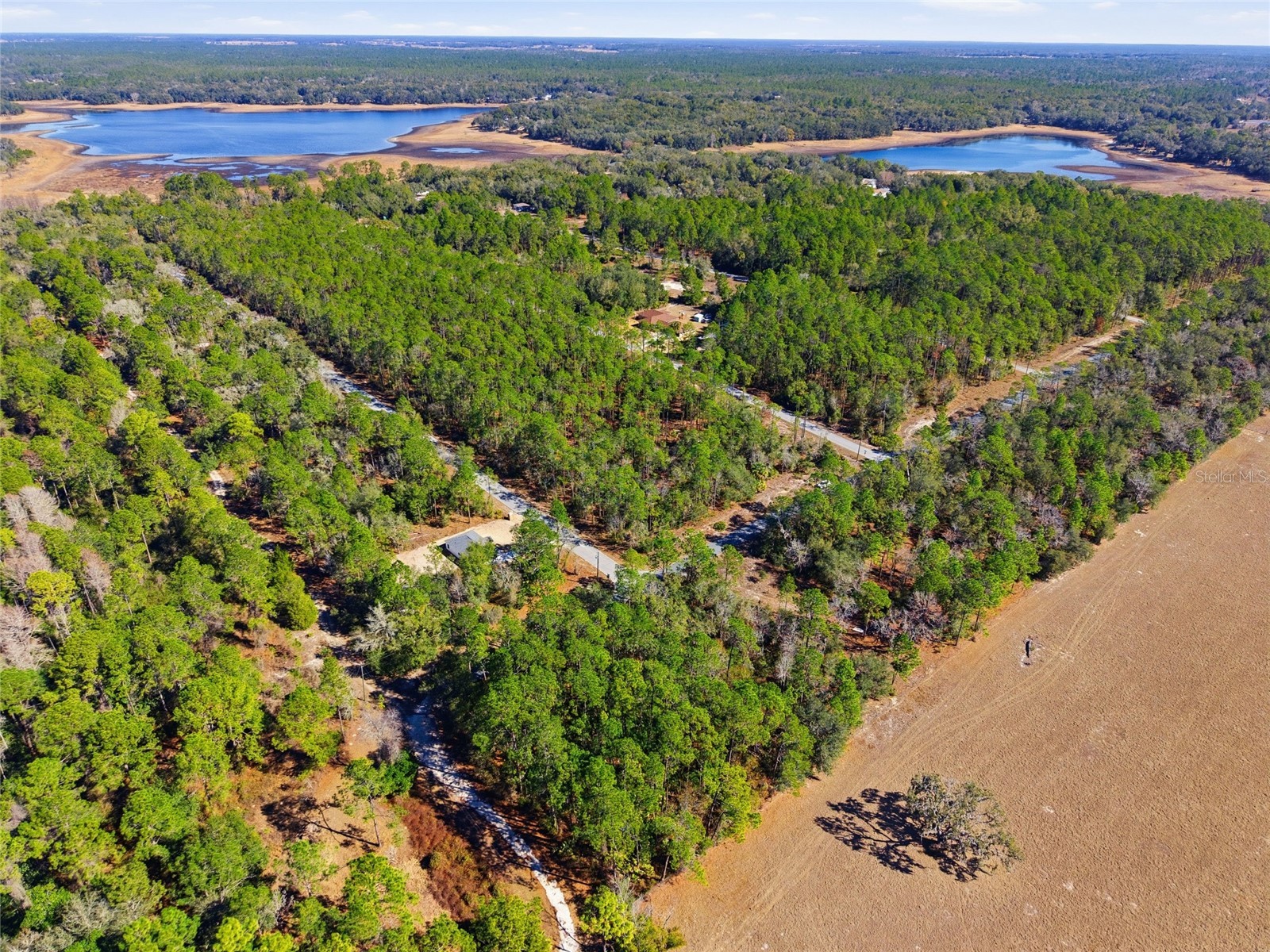 24456 SW Tiger Lake Boulevard W Dunnellon FL 34431 OM718516 image9