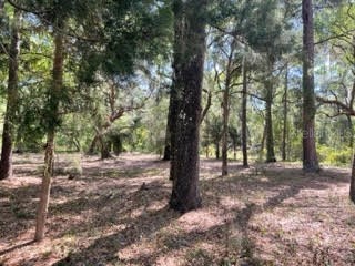 24458 Dorsey Smith Road Brooksville FL 34601 U8195686 image1