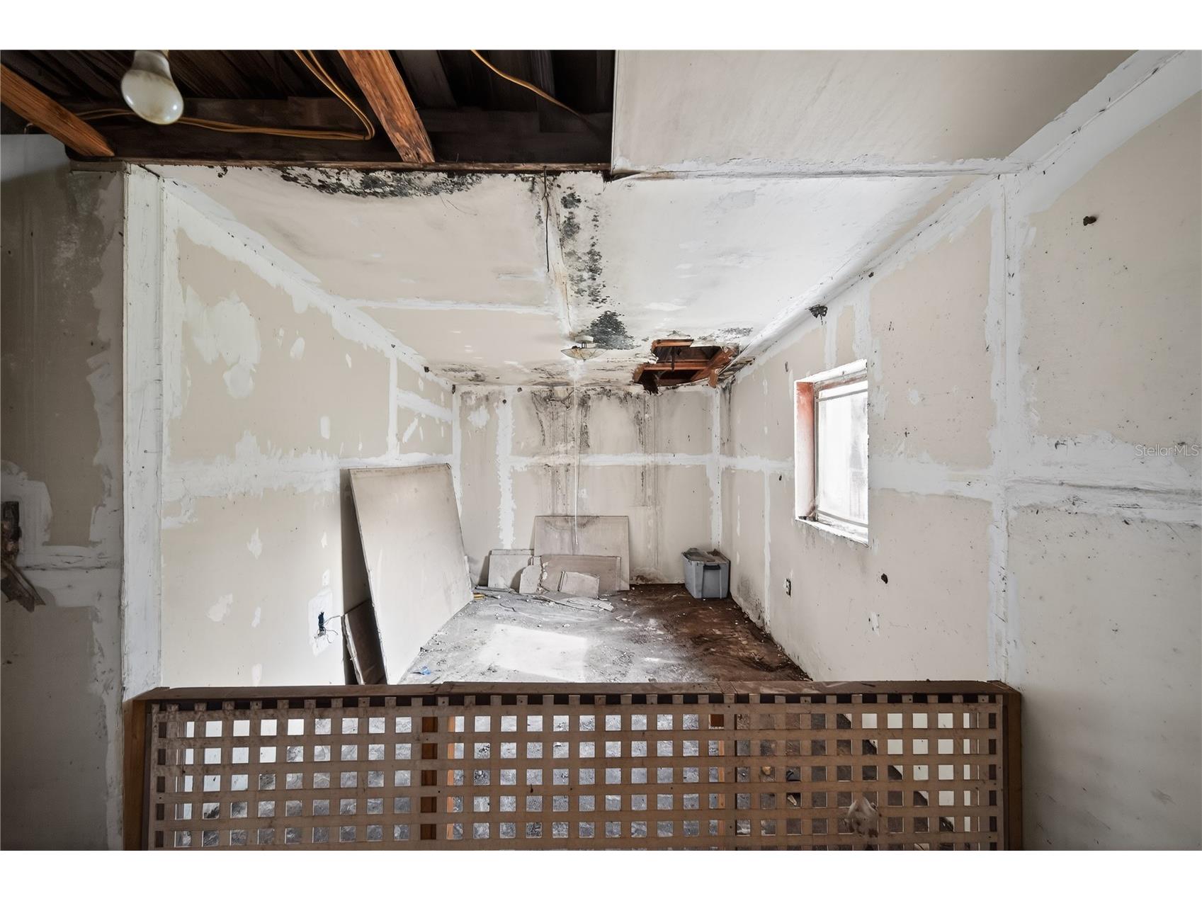 2446 E Magnolia Street Lakeland FL 33801 O6391847 image11