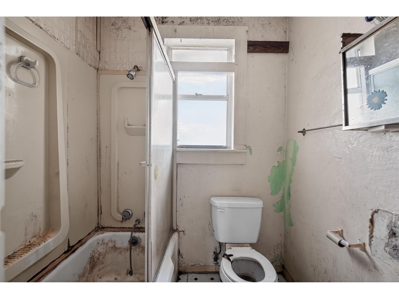 2446 E Magnolia Street Lakeland FL 33801 O6391847 image17