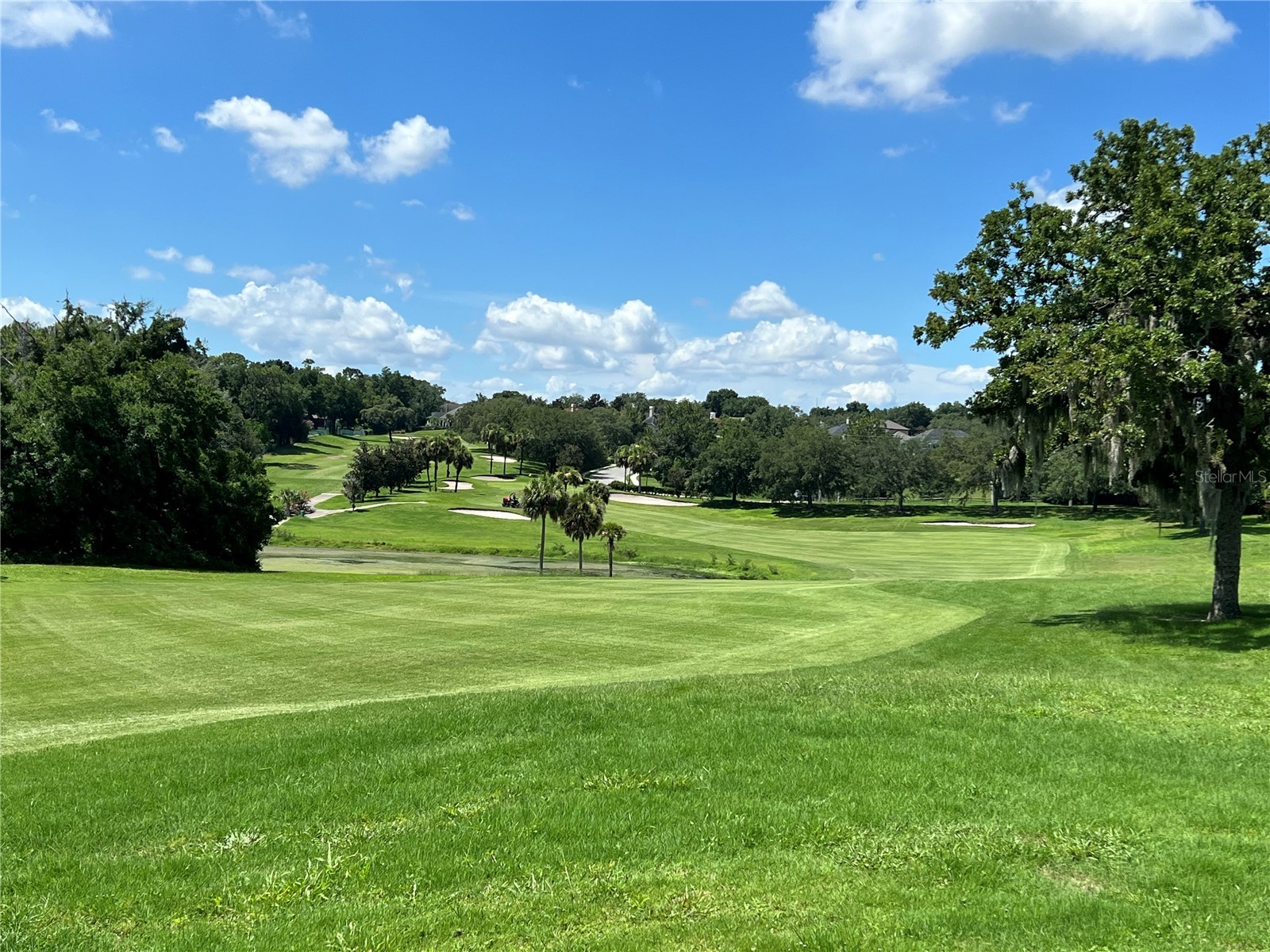 2446 Sweetwater Country Club Drive Apopka FL 32712 O6302819 image22