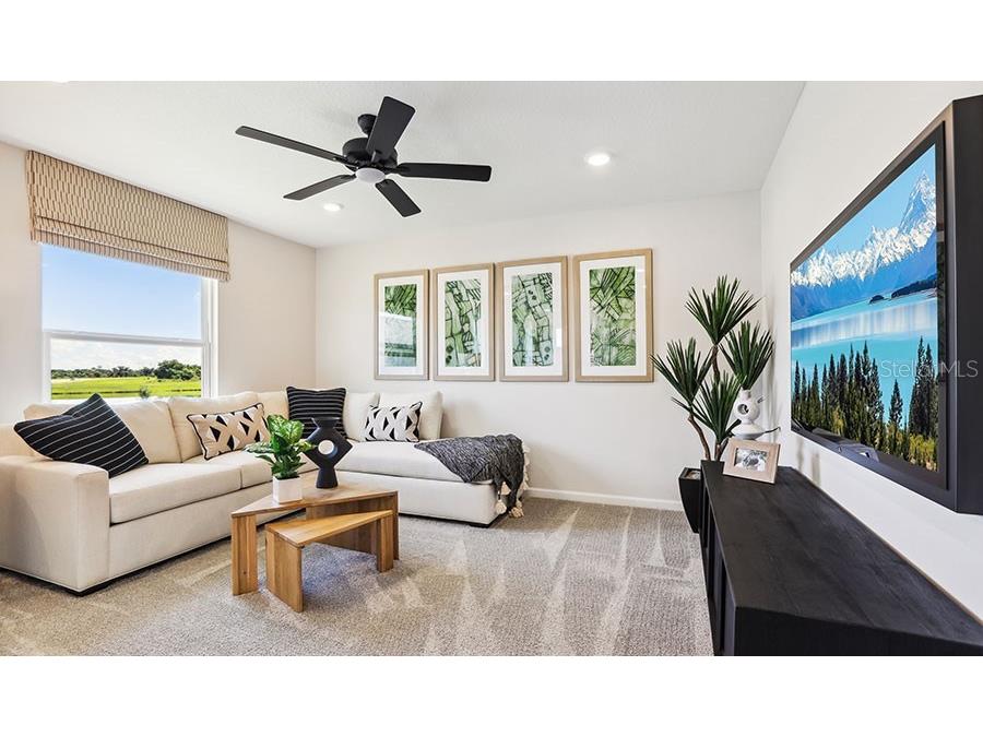 2447 29th Lane E Palmetto FL 34221 S5132411 image12