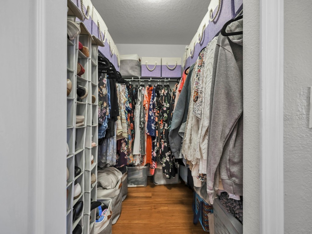 2447 Dovesong Trace Drive Ruskin FL 33570 TB8451390 image17