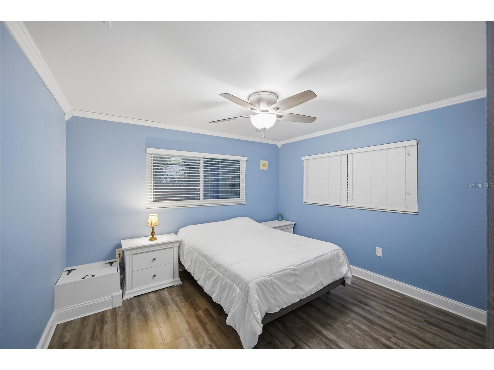2447 Grove Ridge Drive Palm Harbor FL 34683 TB8512191 image27