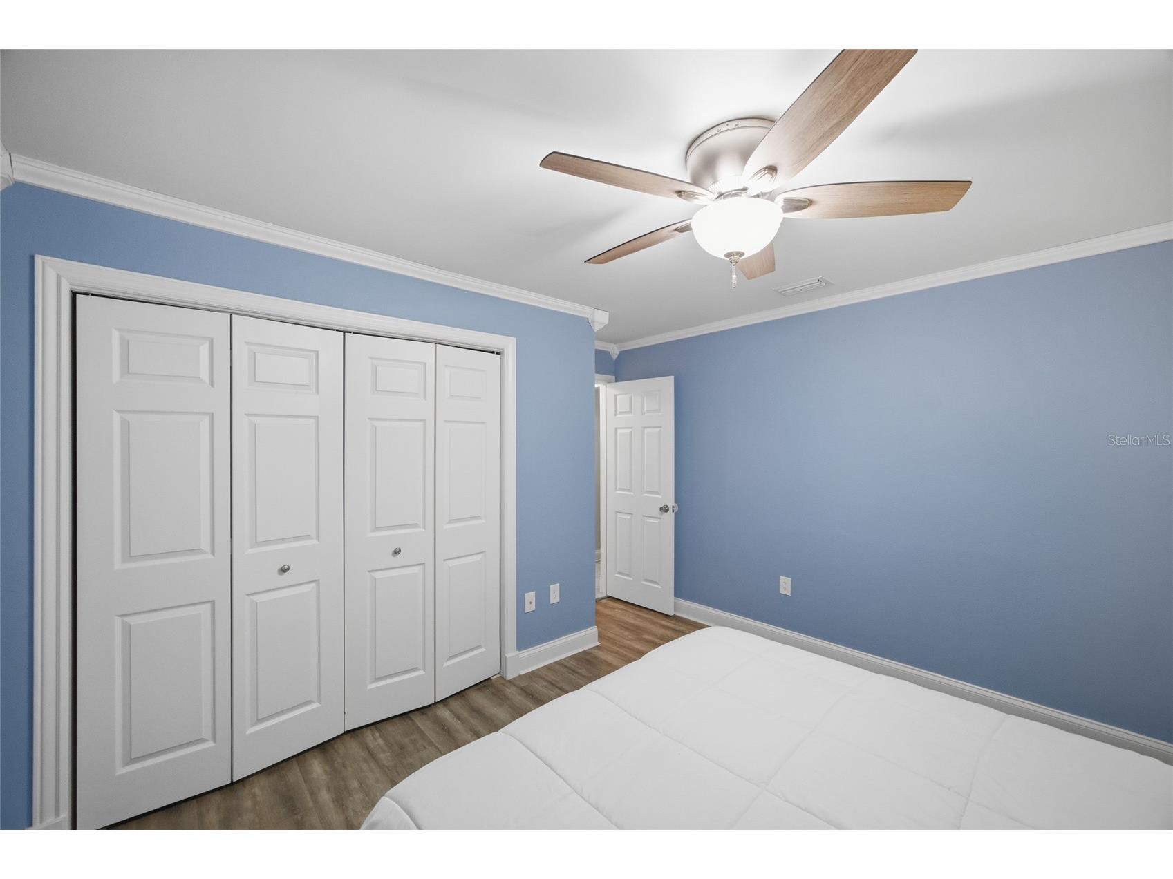 2447 Grove Ridge Drive Palm Harbor FL 34683 TB8512191 image28