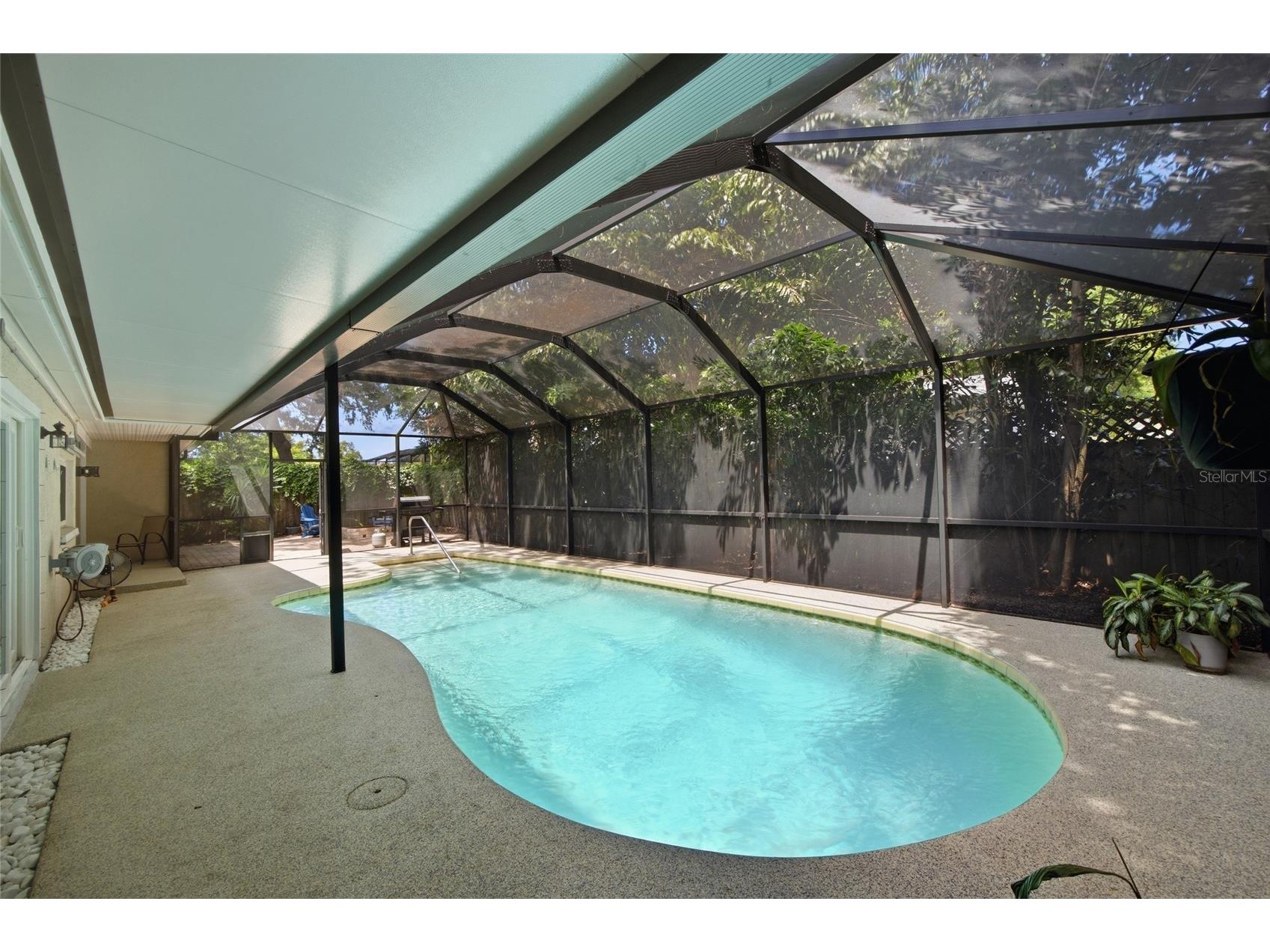 2447 Grove Ridge Drive Palm Harbor FL 34683 TB8512191 image34