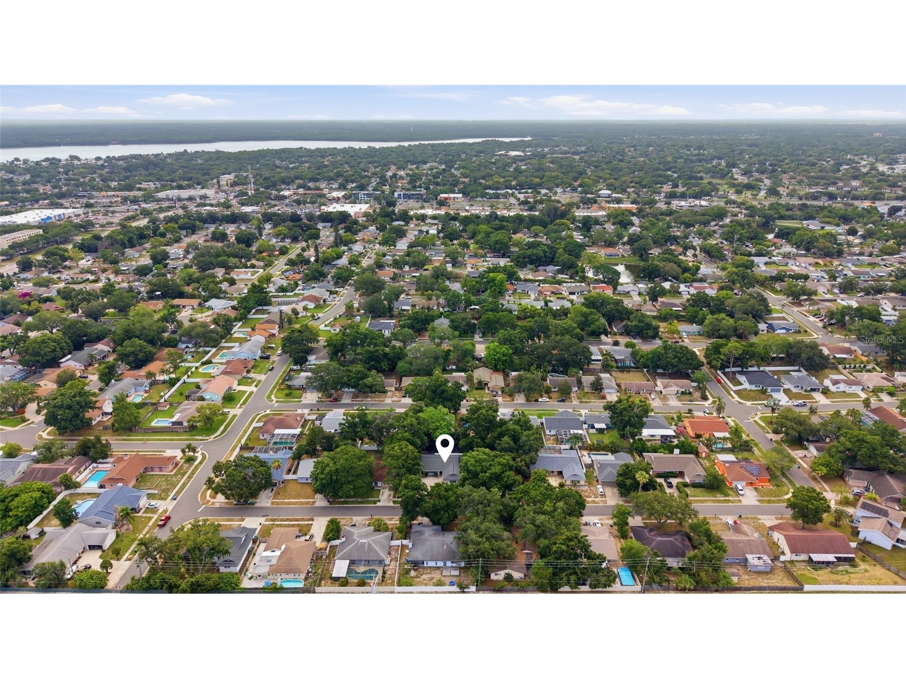 2447 Grove Ridge Drive Palm Harbor FL 34683 TB8512191 image38