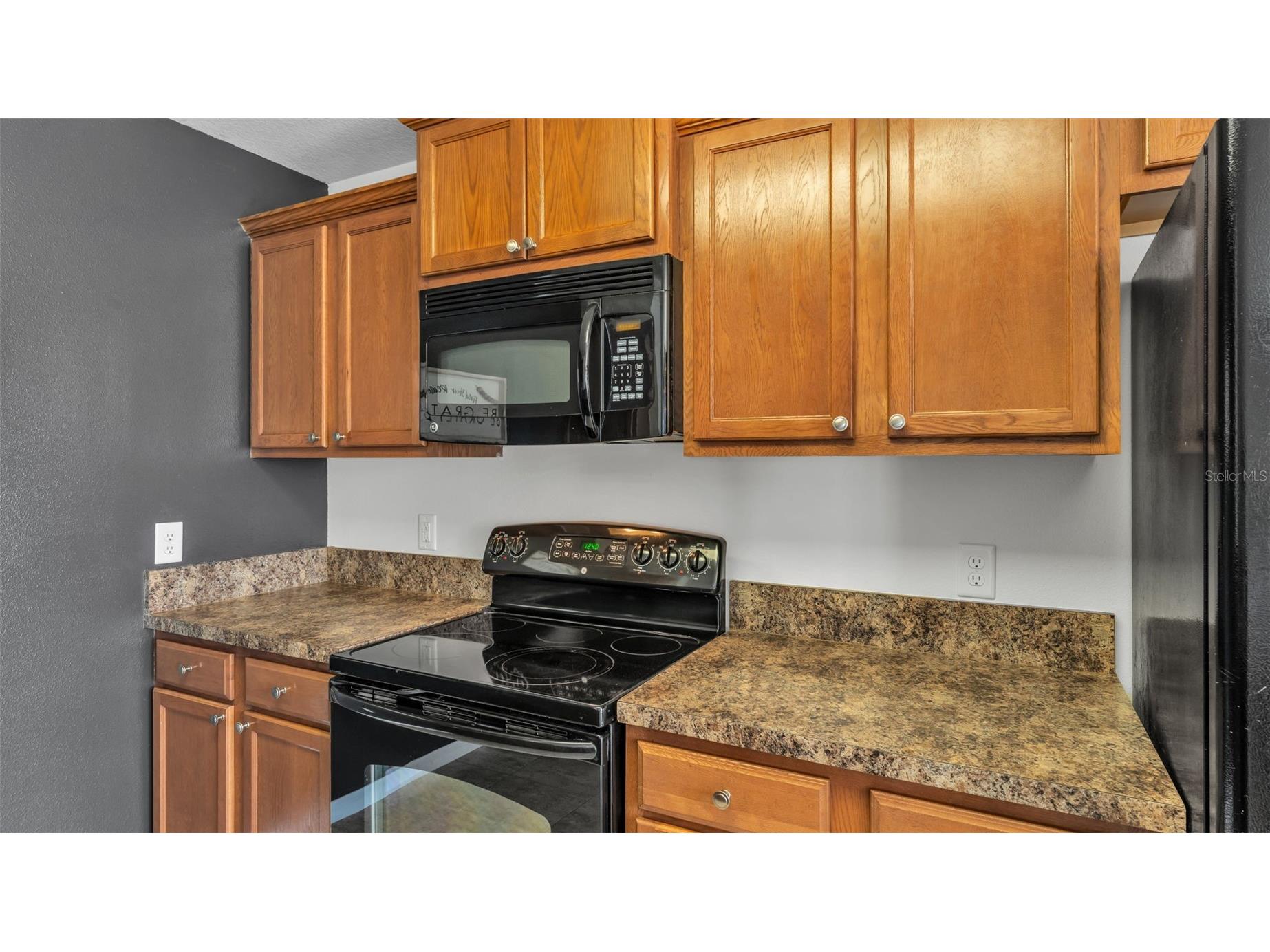 2447 Ladoga Drive Lakeland FL 33805 L4959141 image13