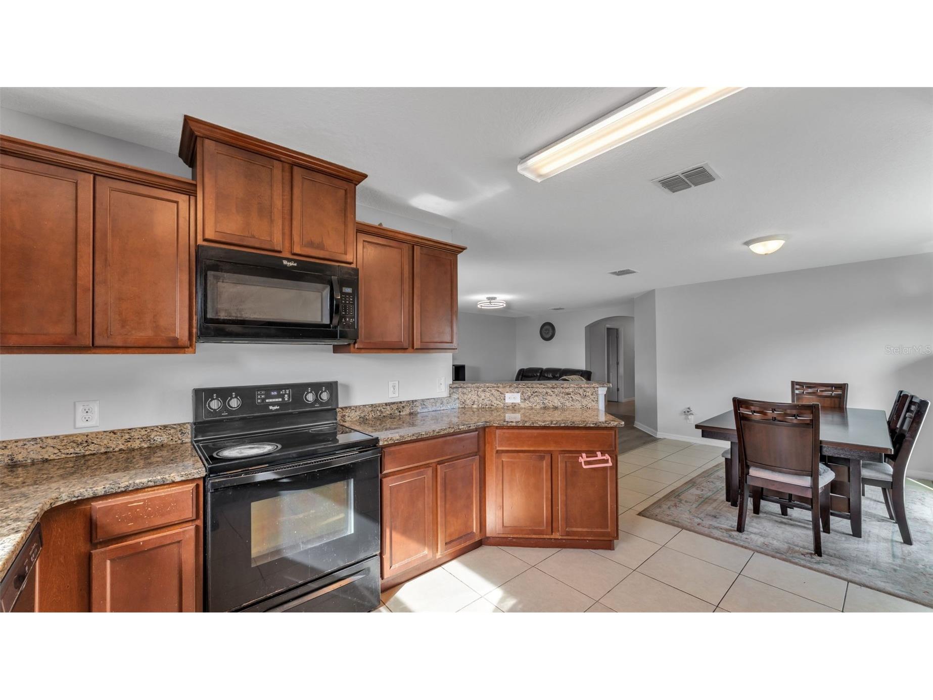 2447 Torrens Drive Lakeland FL 33805 L4961572 image10