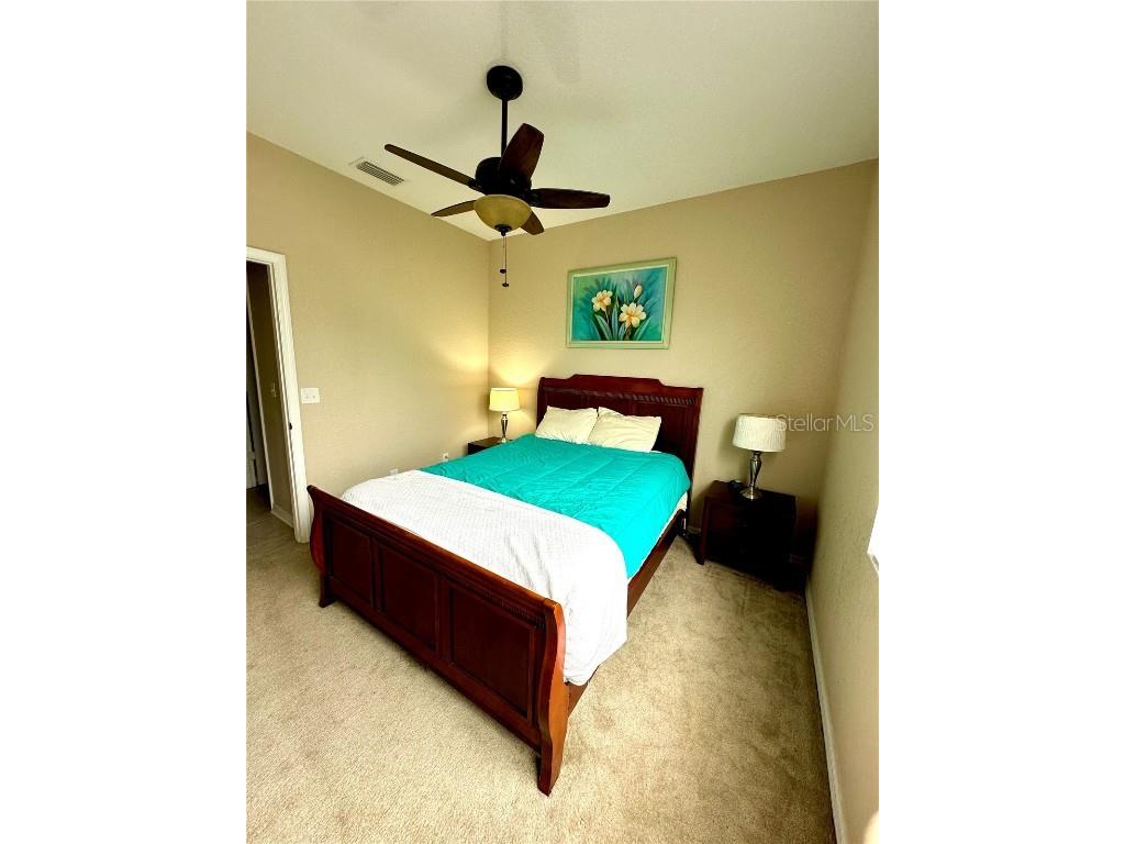 24479 Vienison Ln Punta Gorda FL 33955 C7489294 image28