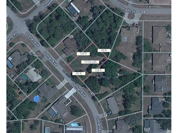 2448 Dothan Avenue Spring Hill FL 34609 T3384441 image1