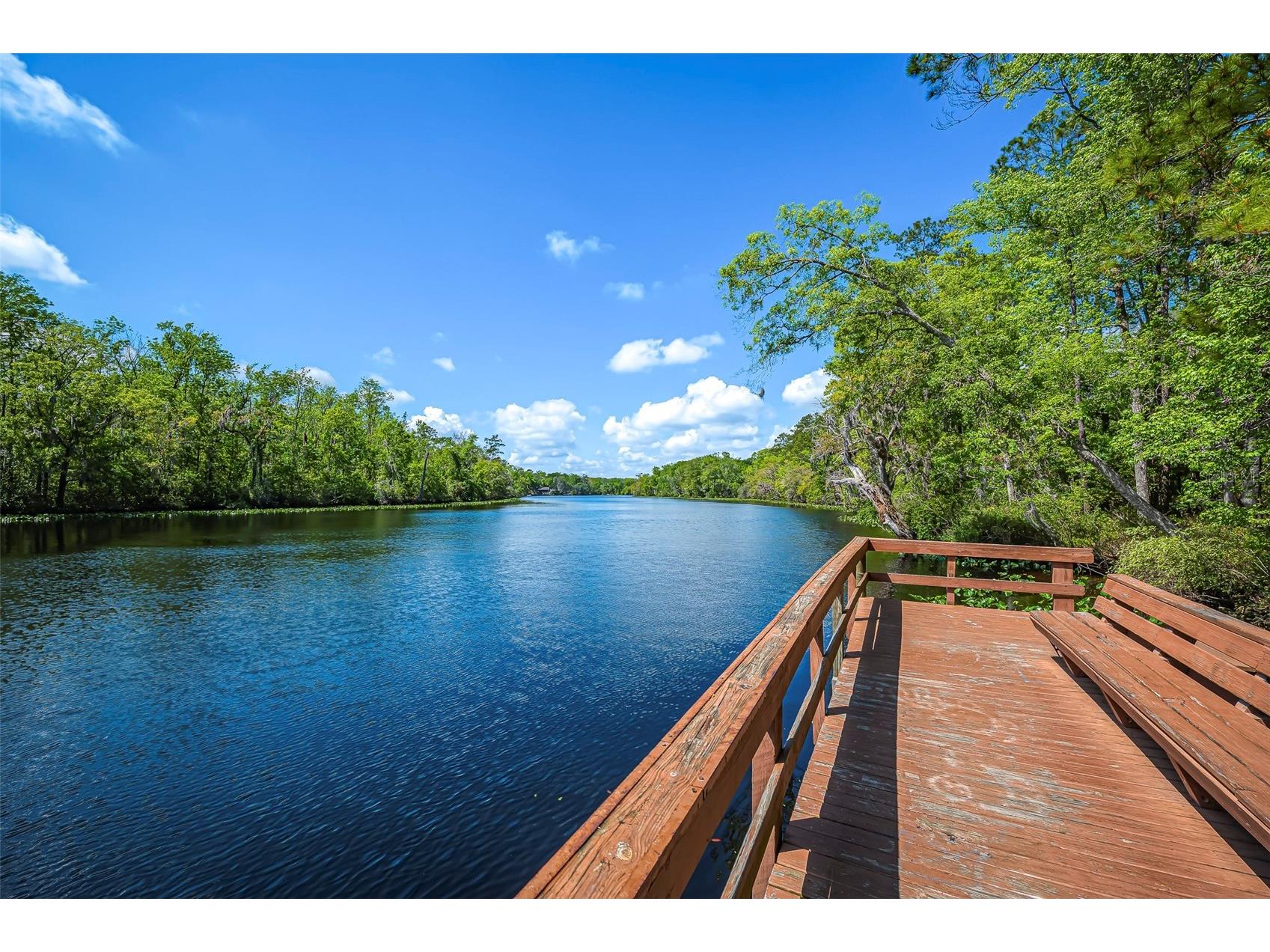 2448 Moon Harbor Way Middleburg FL 32068 FC318456 image59