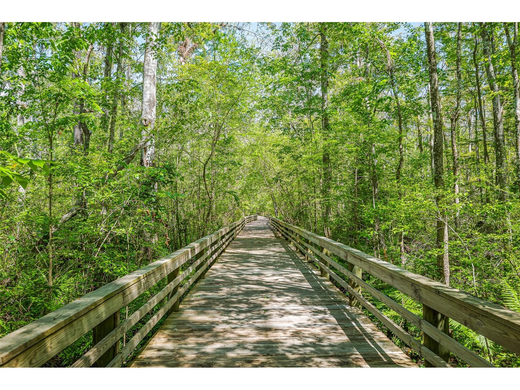 2448 Moon Harbor Way Middleburg FL 32068 FC318456 image60