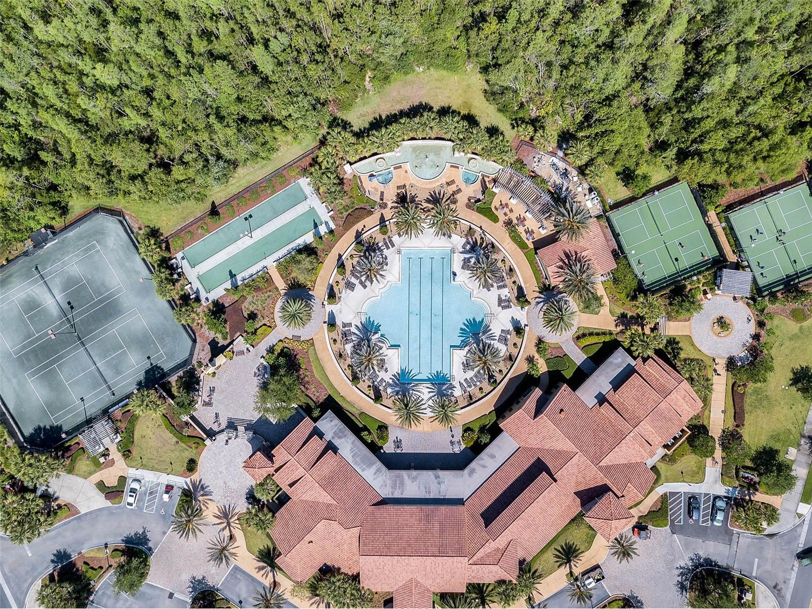 2448 Palm Tree Drive Kissimmee FL 34759 O6407476 image38