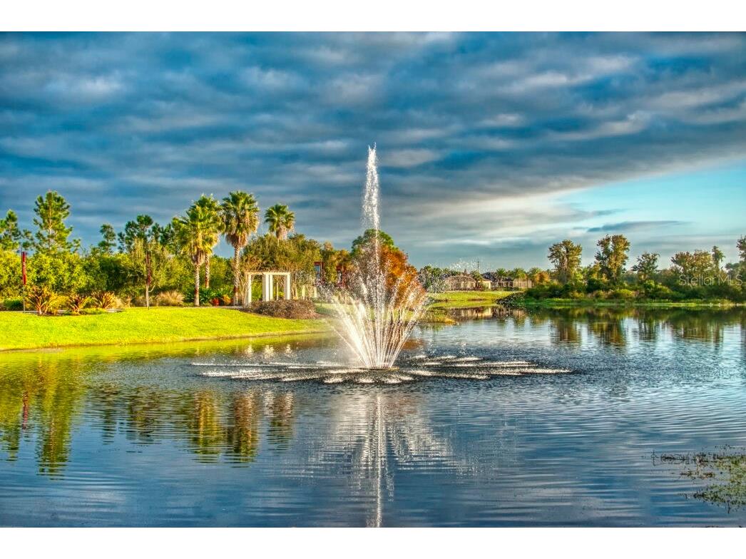 2448 Palm Tree Drive Kissimmee FL 34759 S5117943 image45