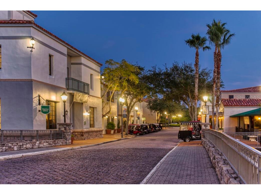 2448 Palm Tree Drive Kissimmee FL 34759 S5117943 image53