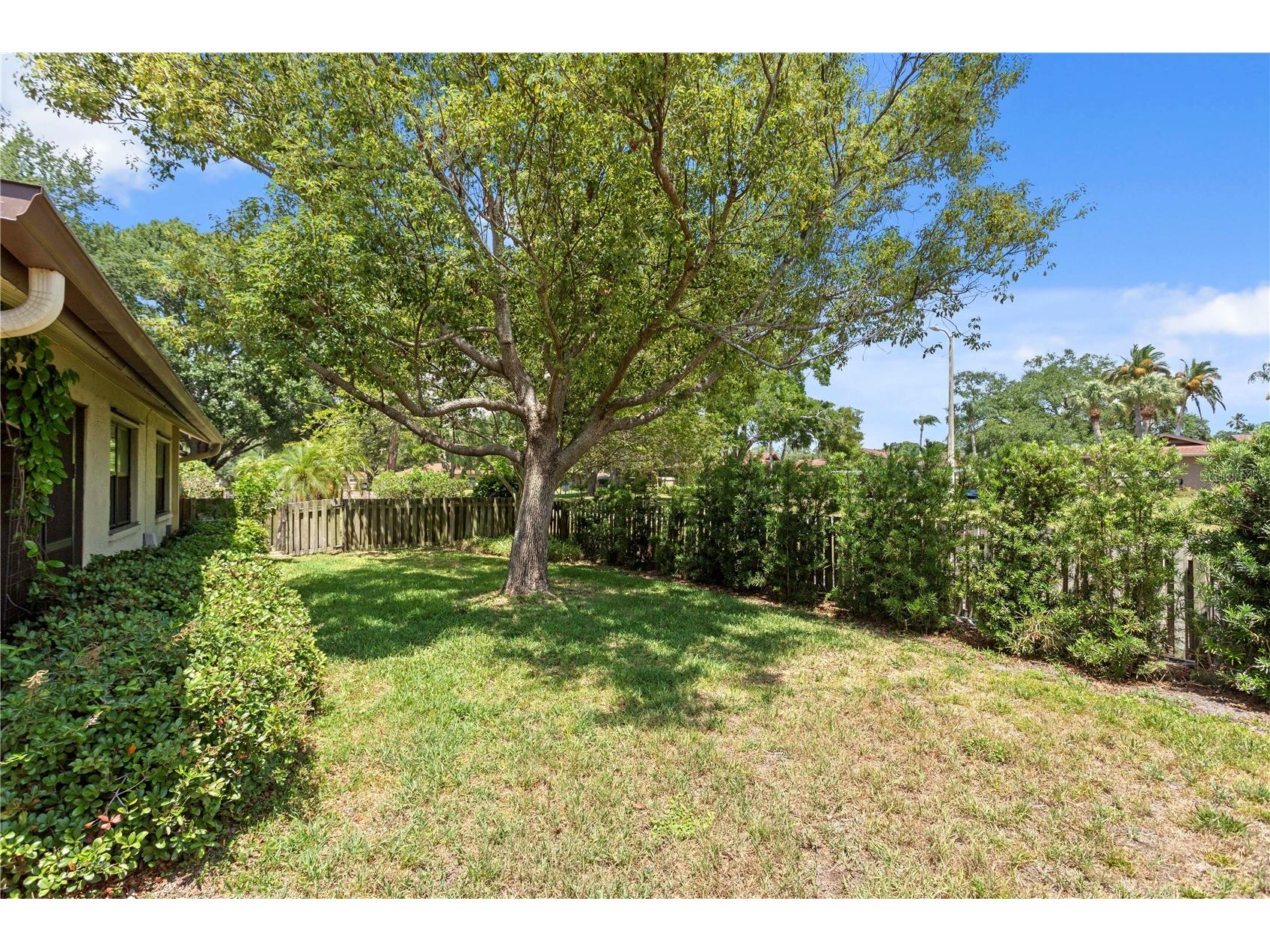 2449 Bay Berry Court Clearwater FL 33763 TB8508941 image26