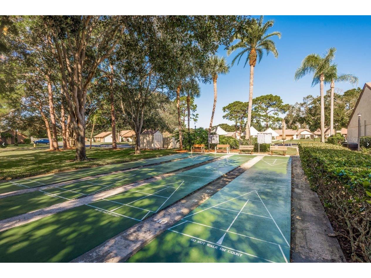 2449 Bay Berry Court Clearwater FL 33763 TB8508941 image28