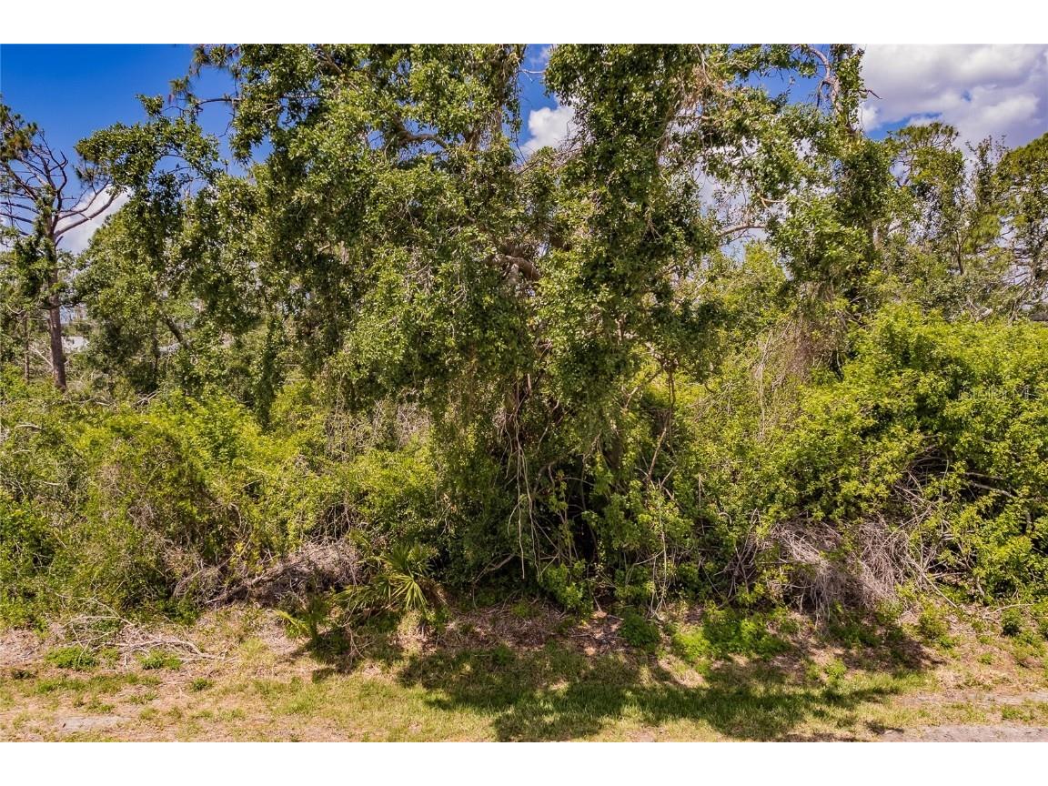 2449 Mockingbird Street Port Charlotte FL 33948 C7474592 image1