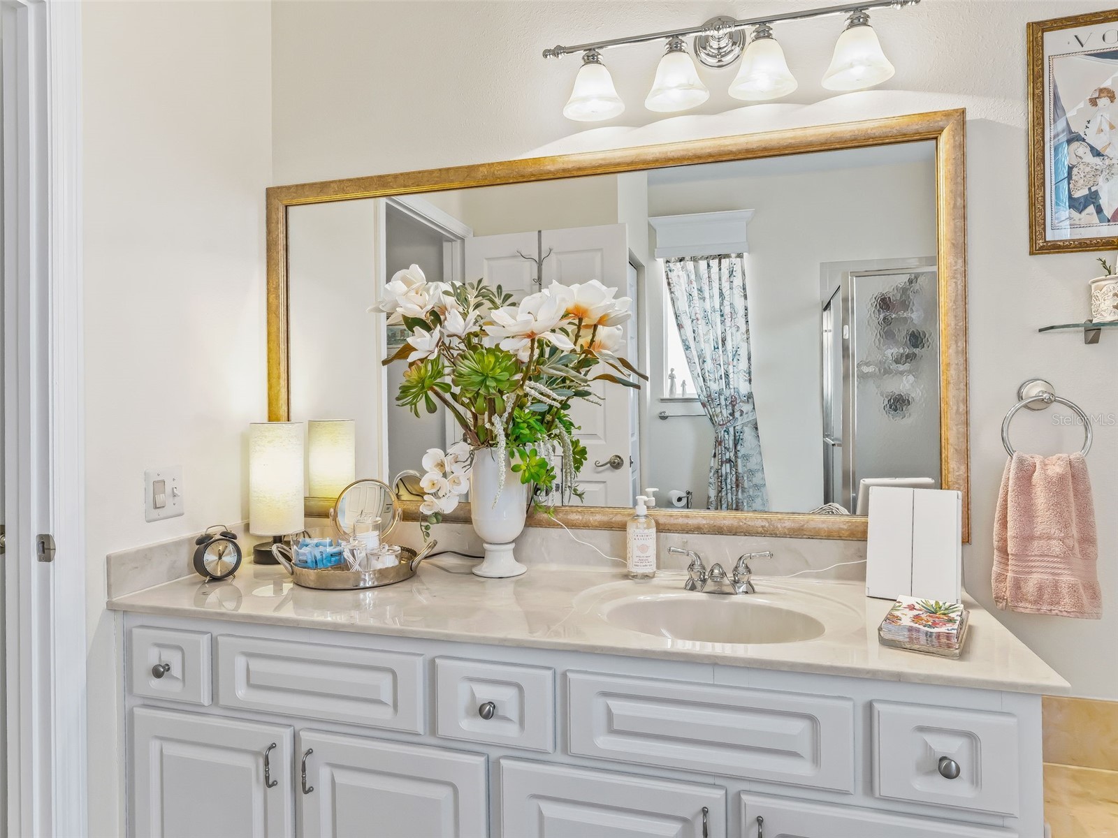 2449 NW 59th Terrace Ocala FL 34482 OM719672 image27