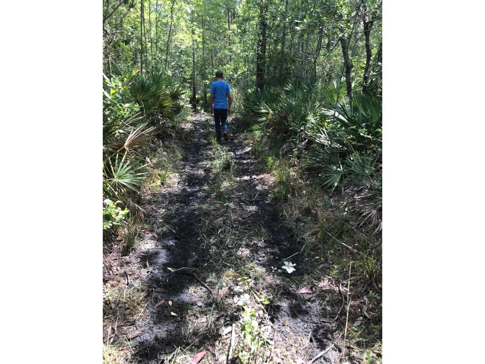 2449 Old Train Road Deltona FL 32738 O6397887 image1