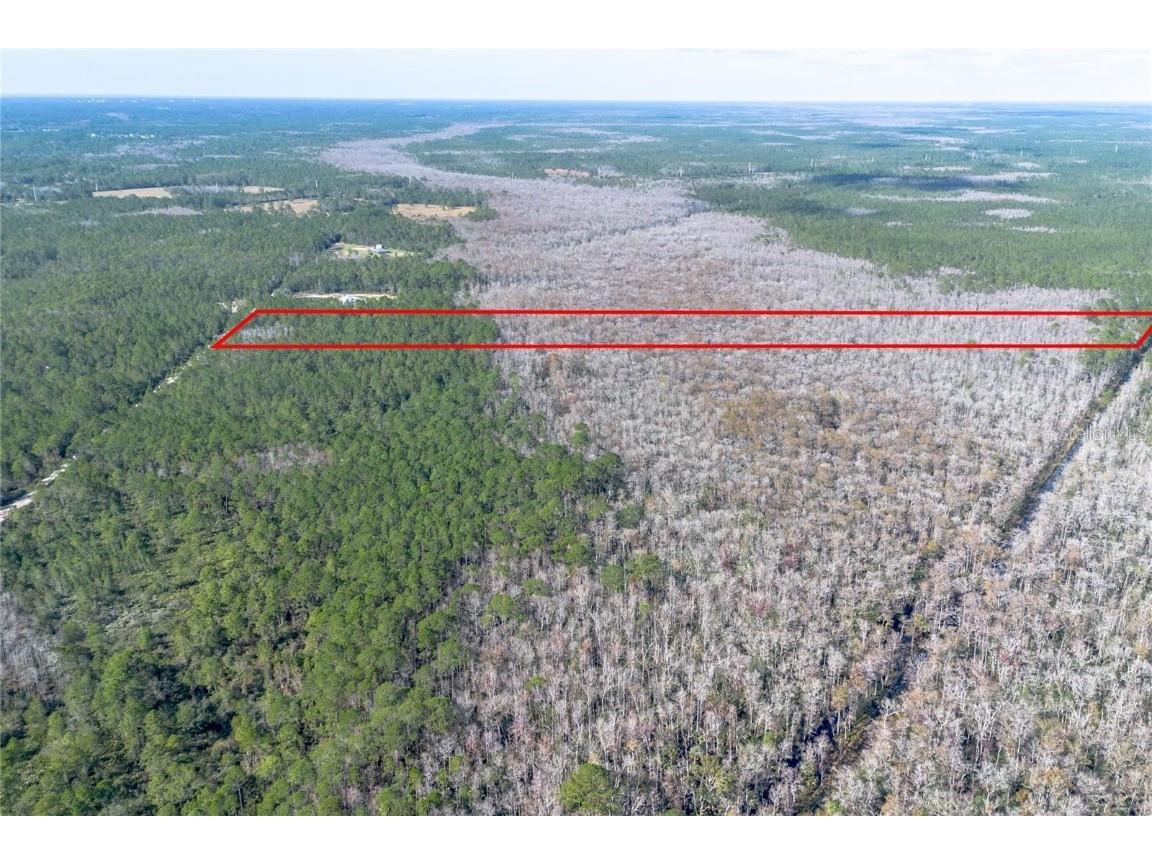 2449 Old Train Road Deltona FL 32738 TB8454647 image1