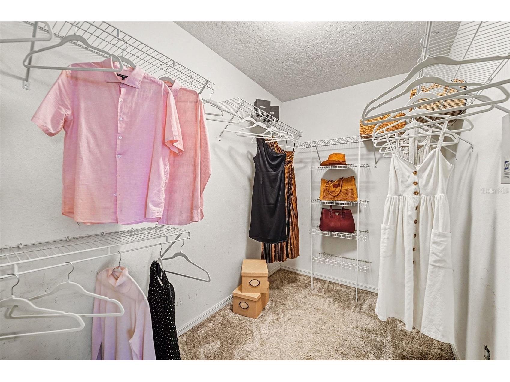 2449 Silvermoss Drive Wesley Chapel FL 33544 TB8468551 image21